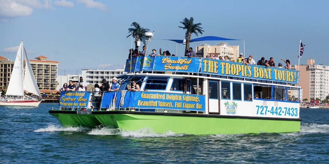 29 Clearwater Dolphin Sightseeing or Sunset Tours for 2 Travelzoo