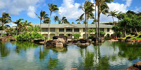 Hawaii Hotel Deals Travelzoo 659