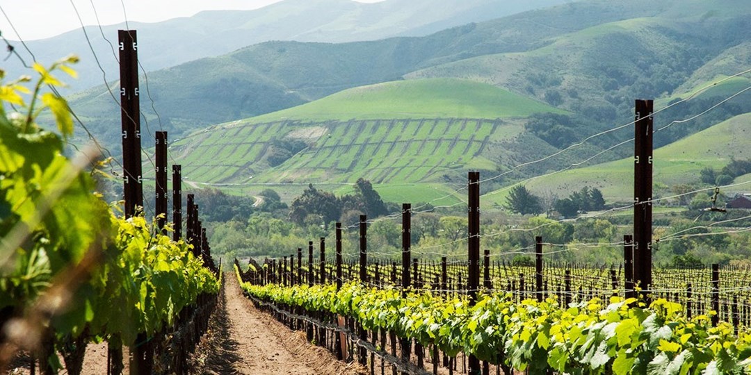 $29 – Santa Barbara 2021 Wine Passport for 2: Visit 20+ Locations ...