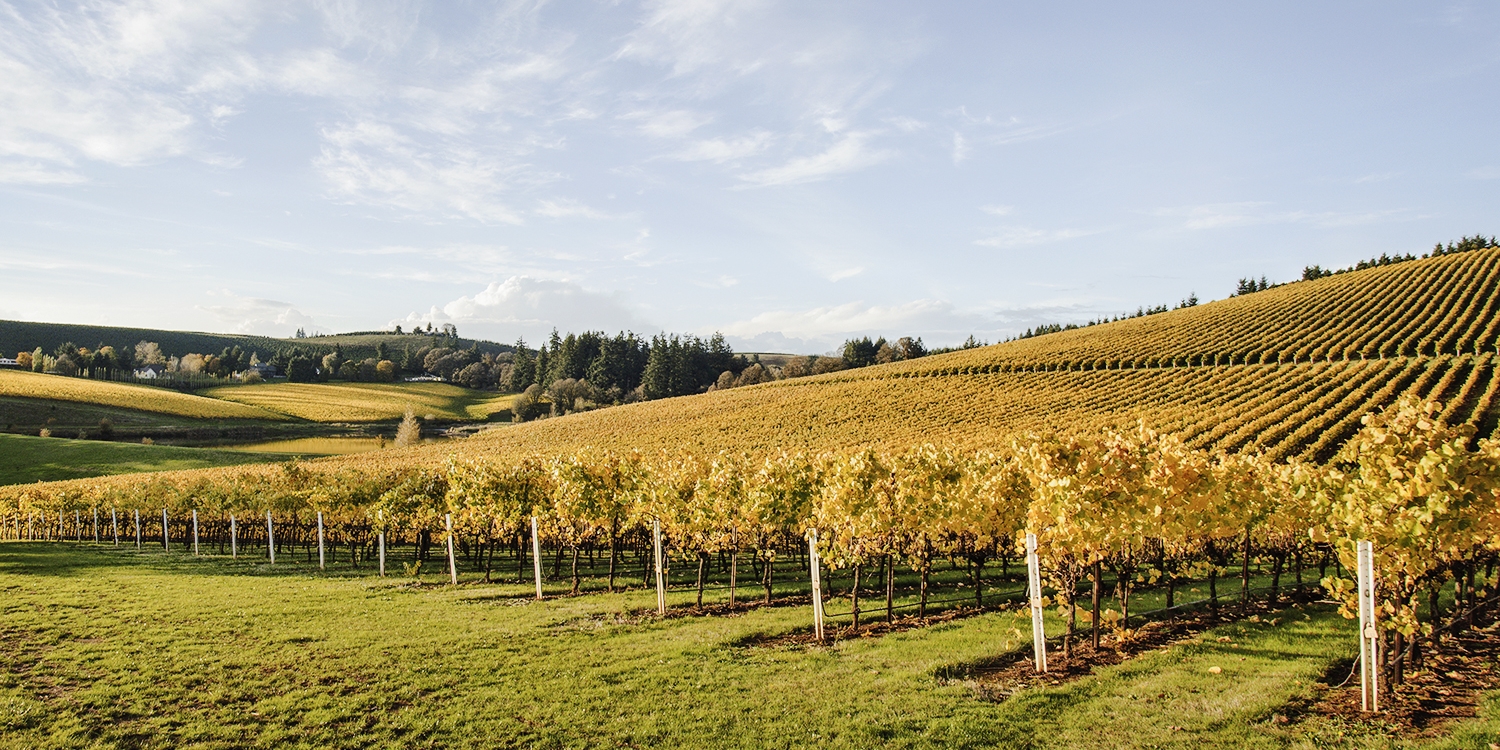 29 Oregon 2019 Wine Passport for 2 Visit 75+ Locations Travelzoo