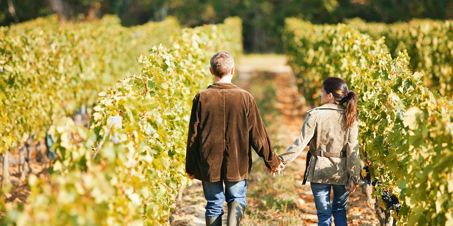 29 Oregon 2020 Wine Passport For 2 Visit 70 Locations Travelzoo