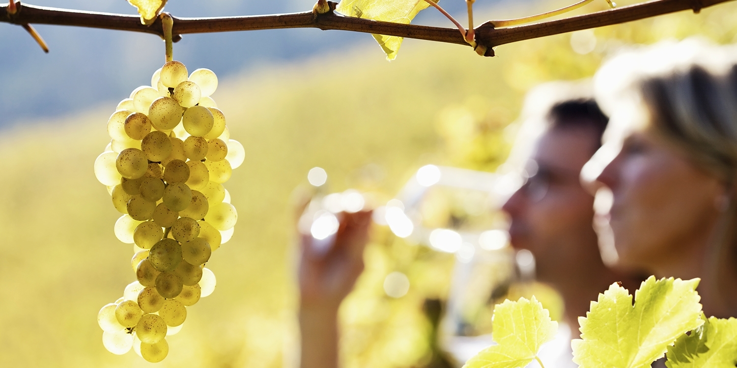 29 Sonoma 2019 Wine Passport for 2 65+ Locations Travelzoo