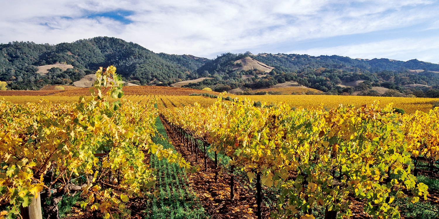 29 Sonoma 2019 Wine Passport for 2 65+ Locations Travelzoo