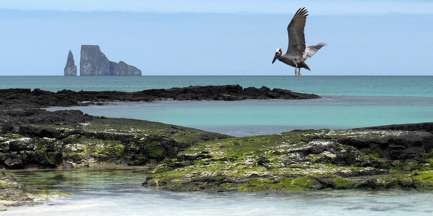 Galapagos Islands Guided Trip w/Air, 1000 Off Travelzoo