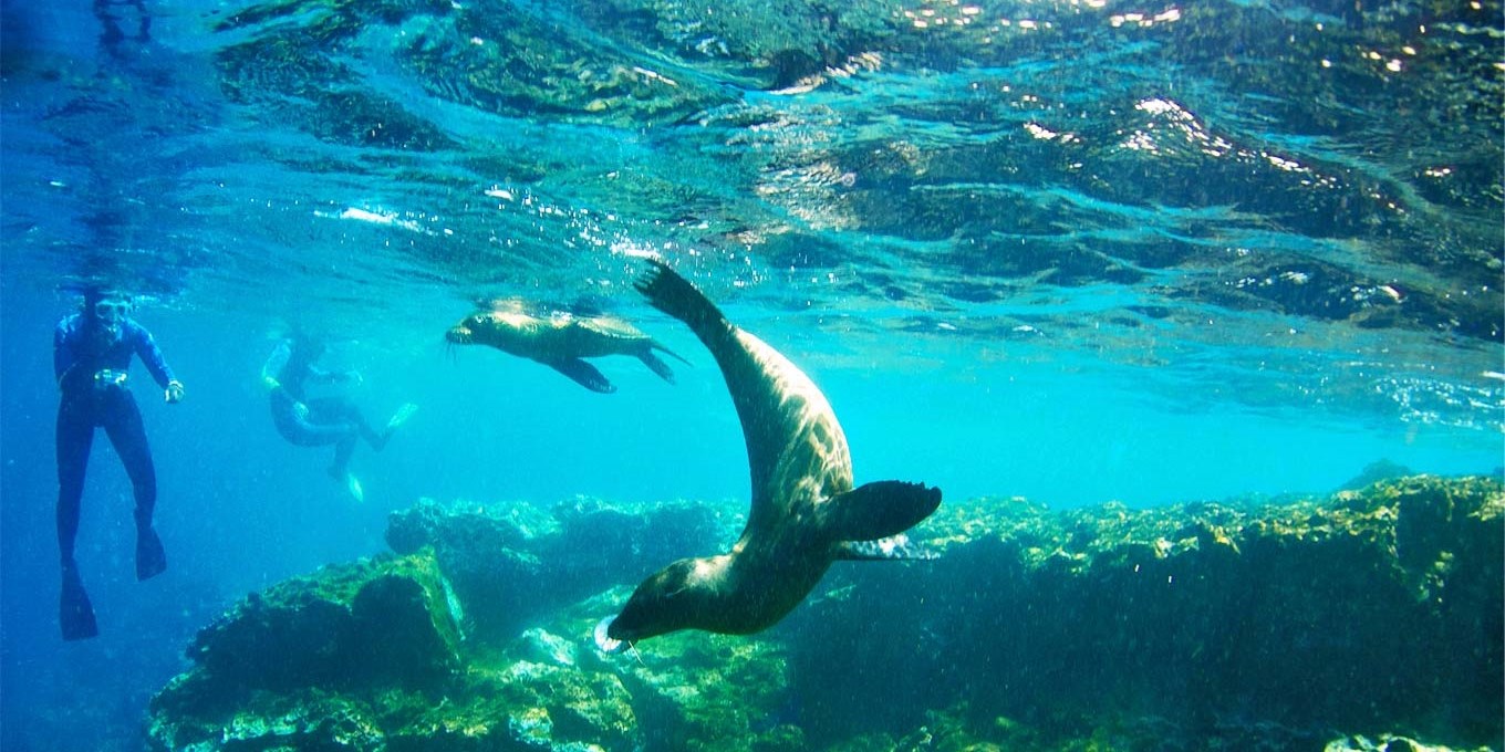 Galapagos Islands Guided Trip w/Air, 1000 Off Travelzoo