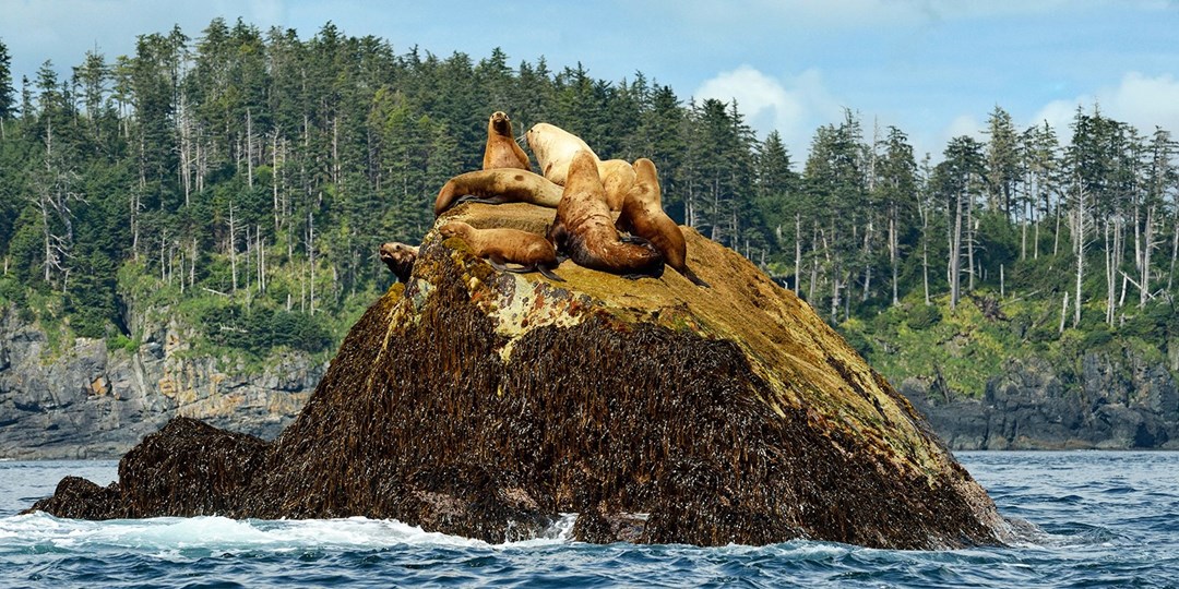 This Canadian Archipelago Is the Galapagos of the North Travelzoo