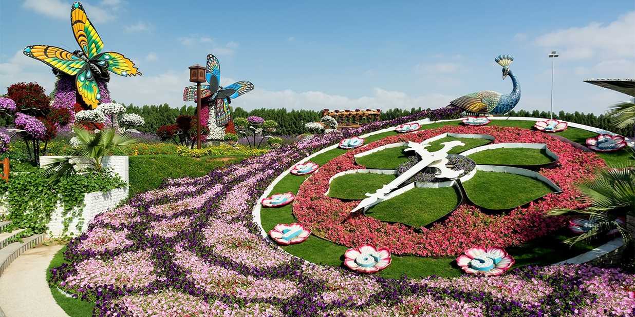 Dubai S Miracle Garden Is A Real Life Alice In Wonderland Travelzoo Dubai S Miracle Garden Is A Real Life Alice In Wonderland Travelzoo