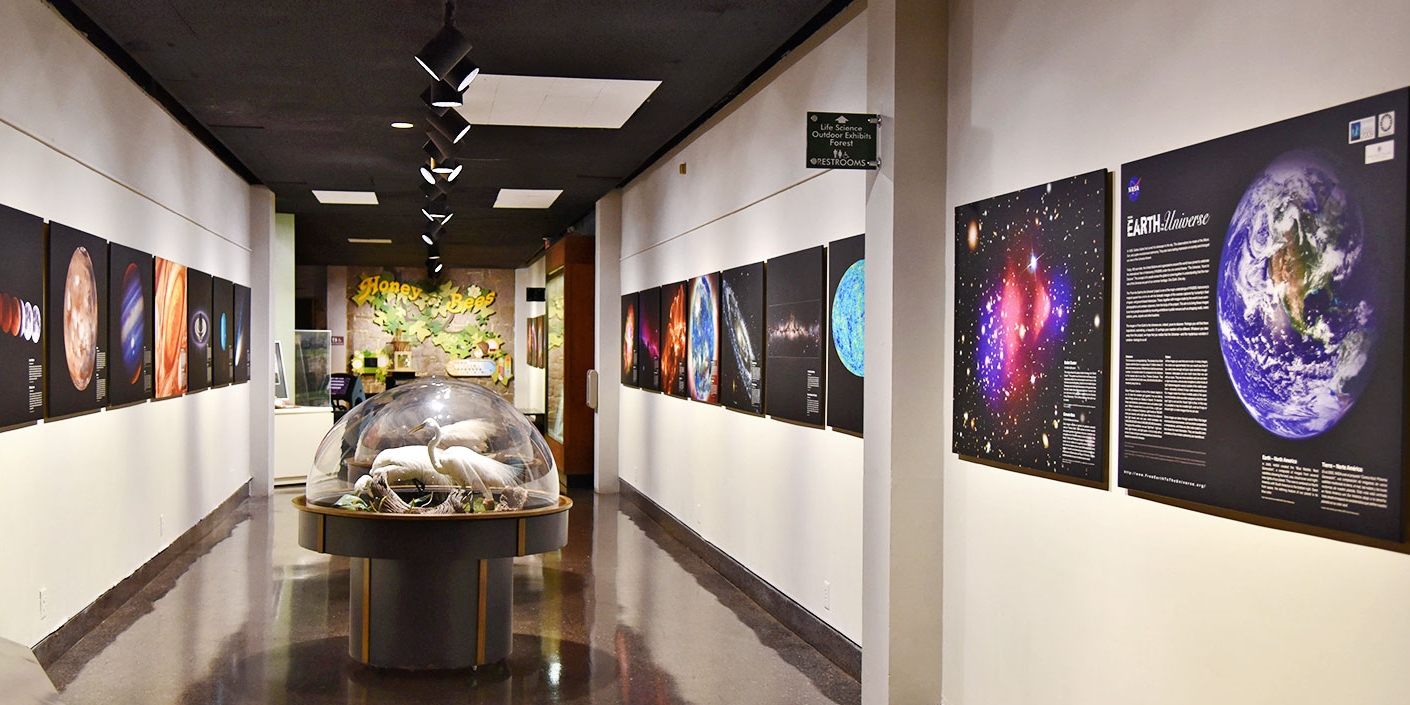 Web fernbank science center, atlanta, georgia. 9 Show at Fernbank Science Center 2 Tickets Travelzoo