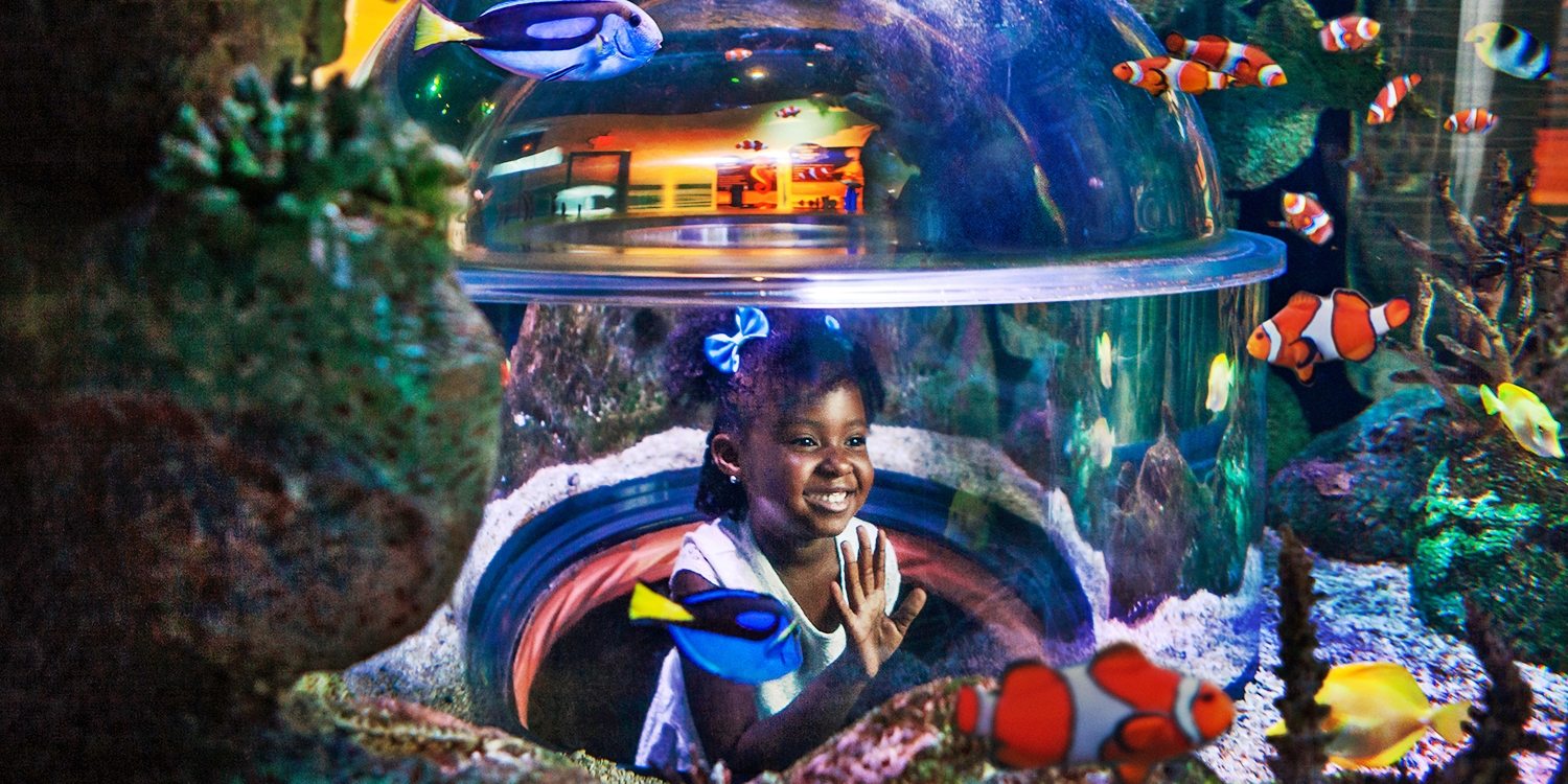 14.50 Visit SEA LIFE Aquarium in Tempe thru 2018, Save up to 35