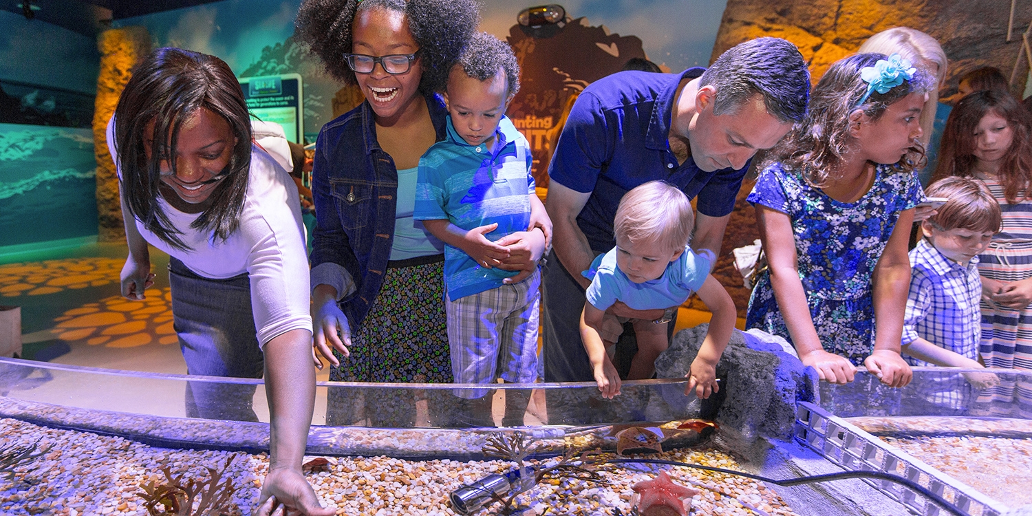 $19.94 – SEA LIFE Arizona: Interact w/Sea Creatures | Travelzoo