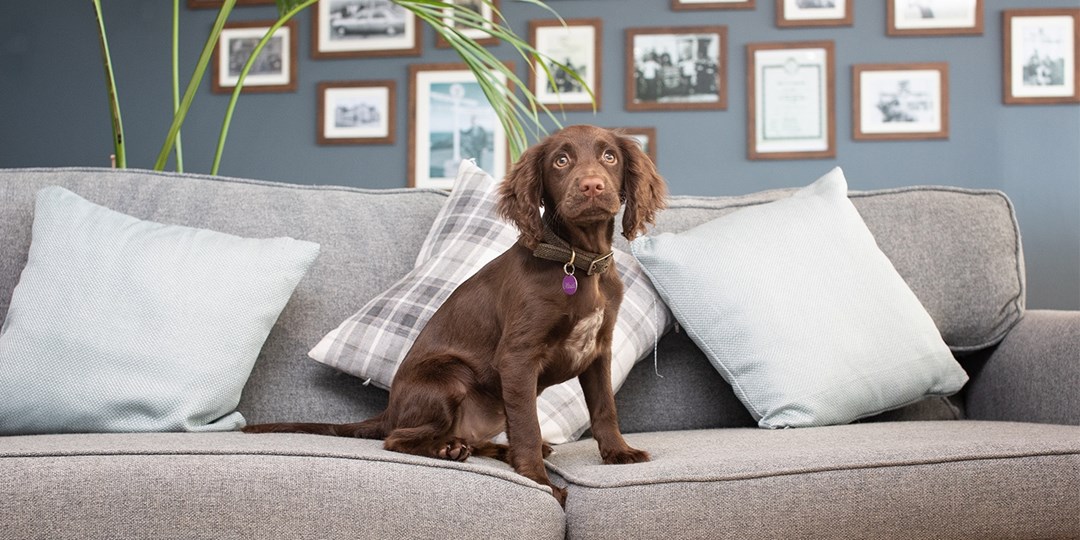 £149—Land's End hotel 2 nights, £104 off Travelzoo