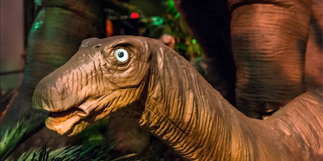 dinosaur exhibit at union station