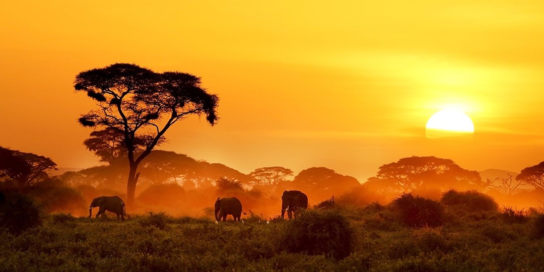 Afrika in Bildern | Travelzoo