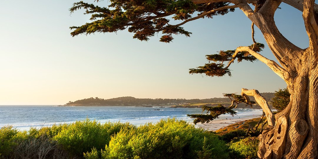 9 mustdo stops on the epic California coast Travelzoo