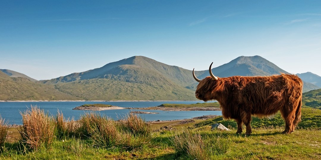 Scottish Highlands: Magic & Mystery on Your Doorstep | Travelzoo