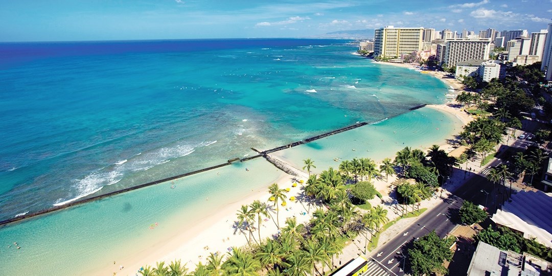 Waikiki Beach Marriott Resort Spa Oyster