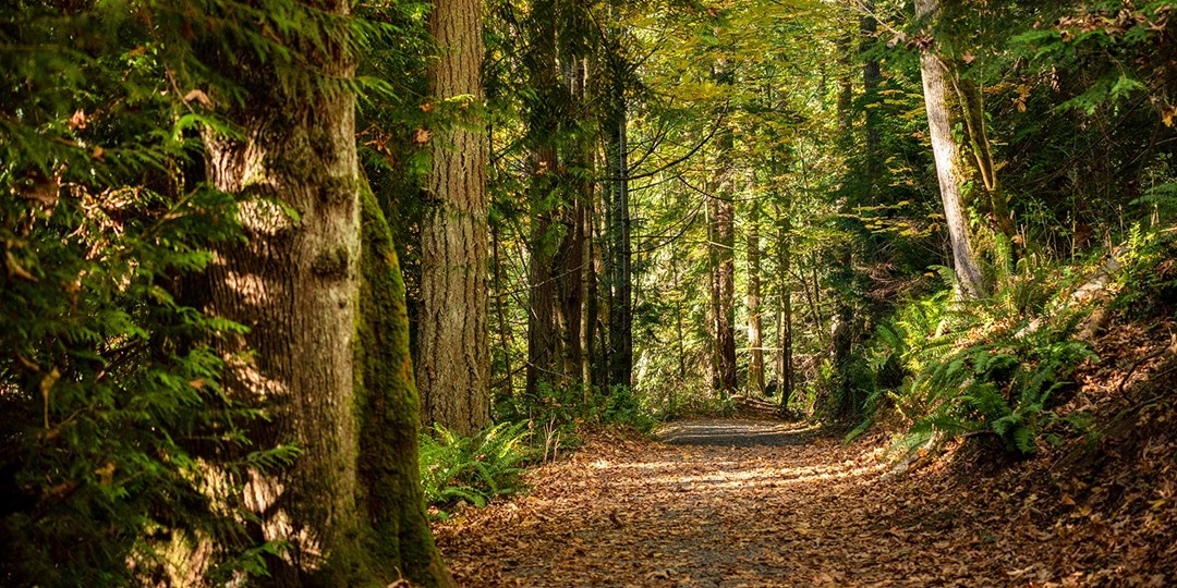 The Lodge at St. Edward State Park Travelzoo