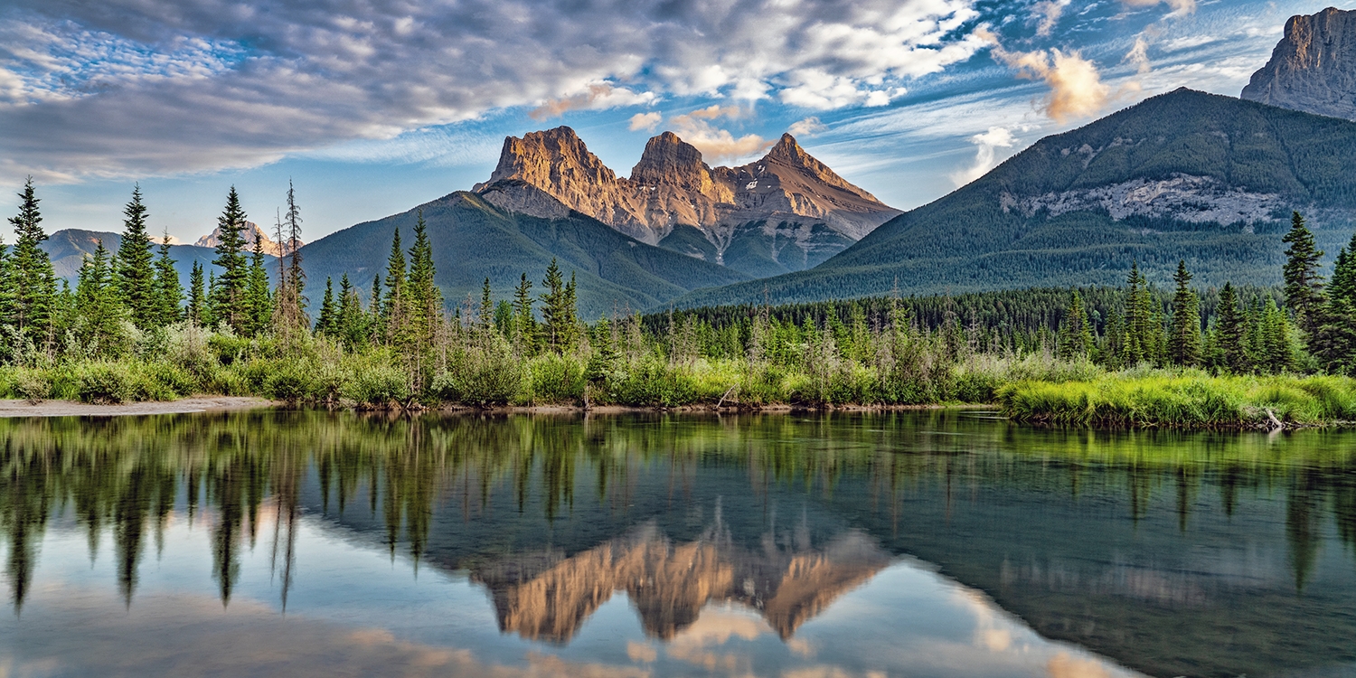 Banff National Park is home to over 50 species of mammals, including elk, grizzly bears and wolves