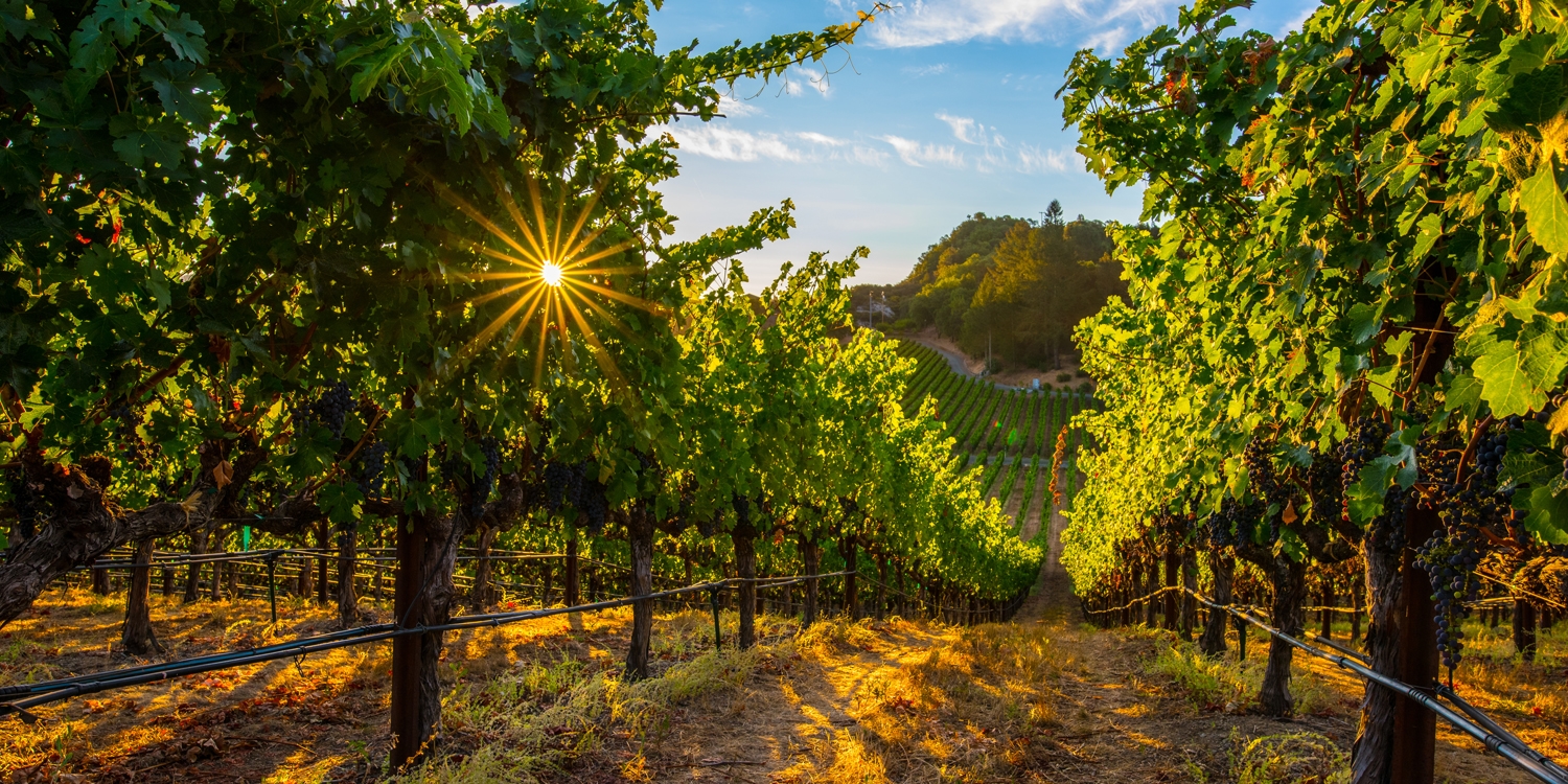 £314-£351 &ndash; Napa Valley All-Suite Hotel w/Tons of Extras -- Napa, CA