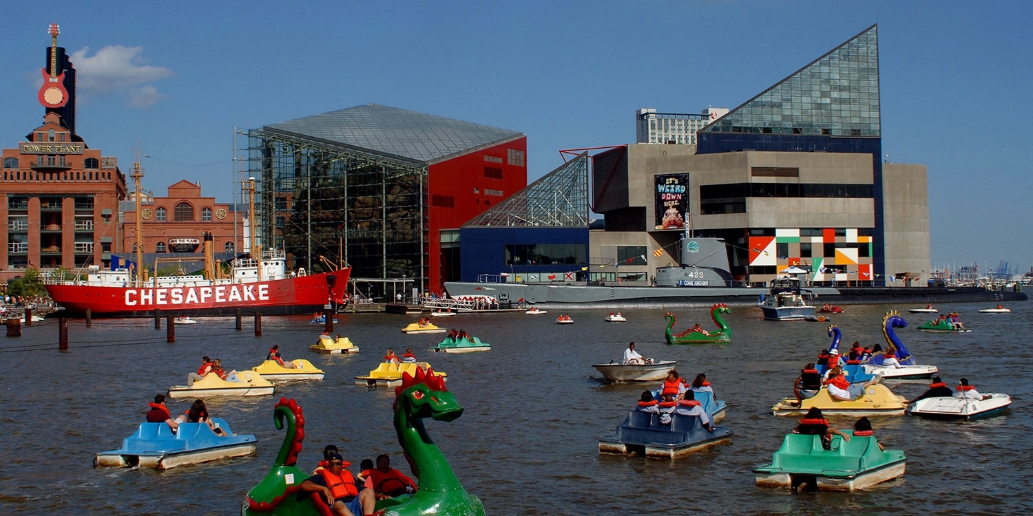 Paddle boats are a fun way to explore the Inner Harbor