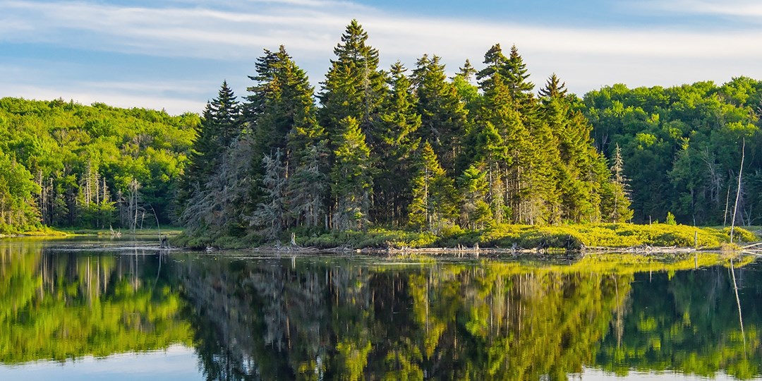 The Pointe At Castle Hill Vermont