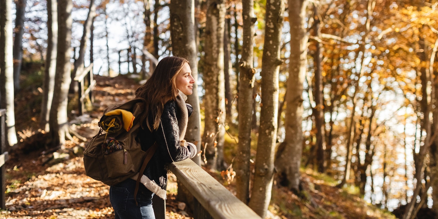 Wander the trails during peak leaf-peeping season