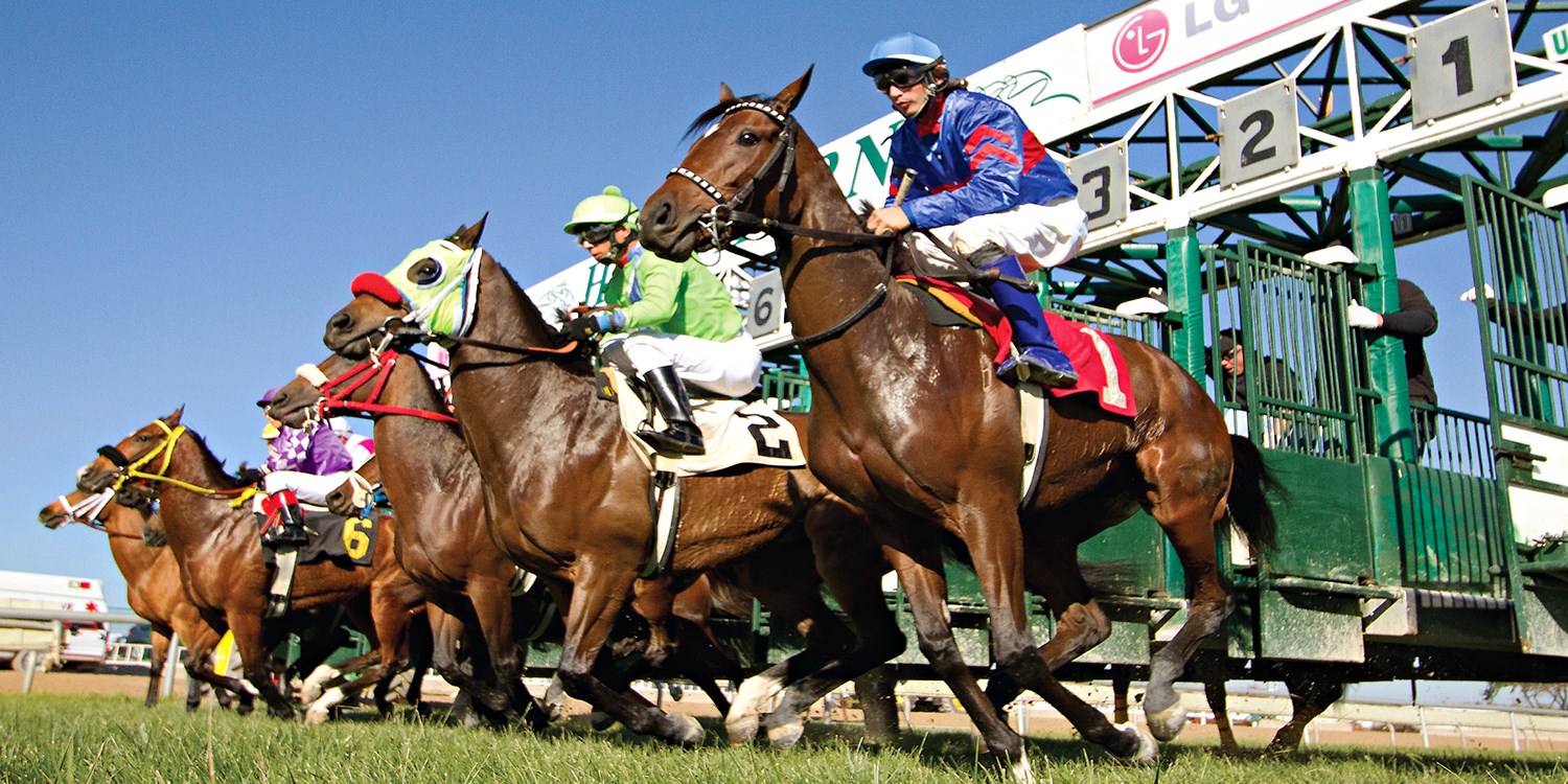 29 Hawthorne Race Course Races This Weekend w/Buffet Travelzoo