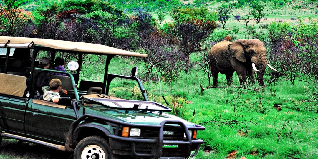 Packing List: Safari Vacation | Travelzoo
