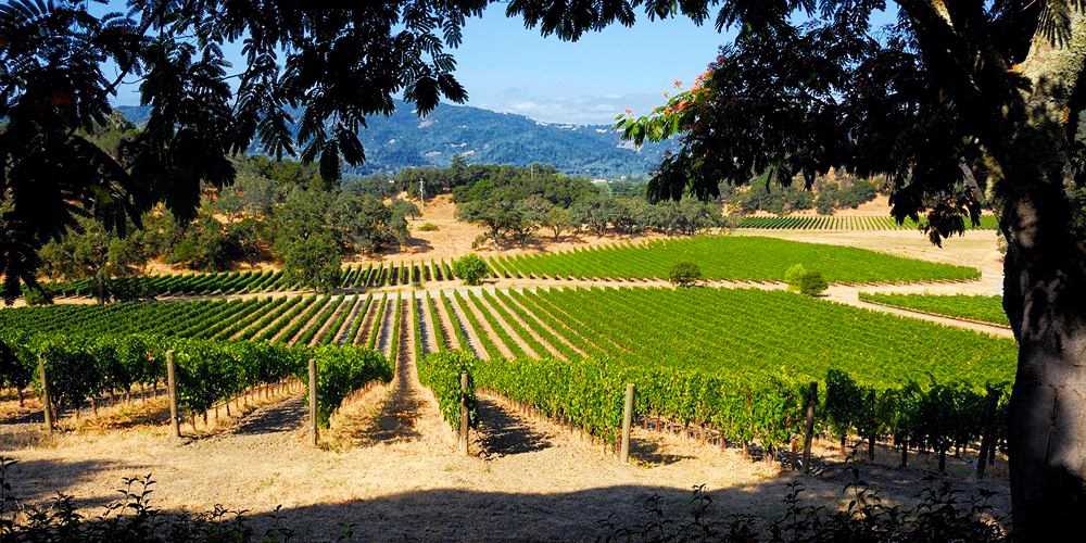Hotel Yountville Yountville Ca Napavalley Com