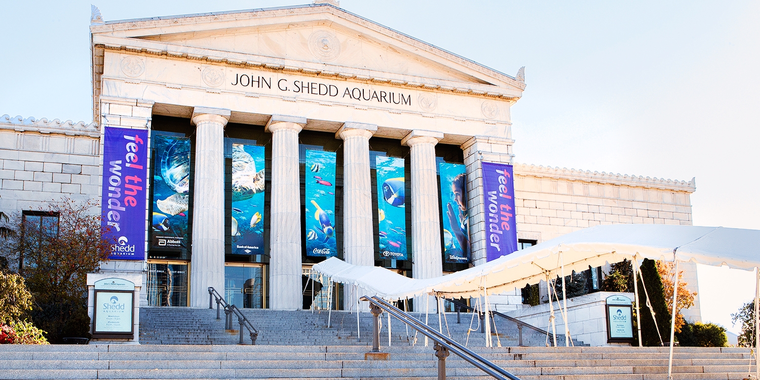 Shedd Aquarium Tour w/Express Entry or Beluga Encounter Travelzoo