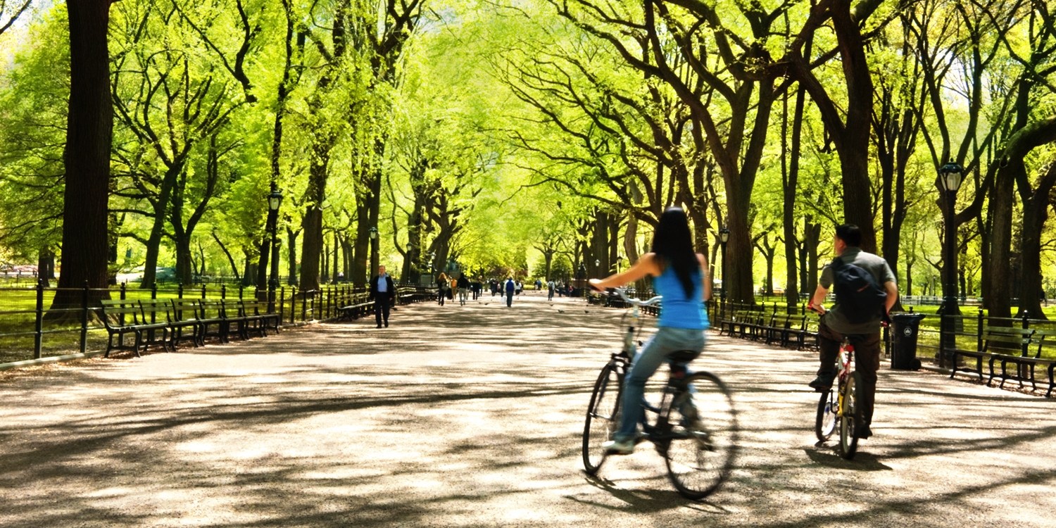 central park new york bike tour