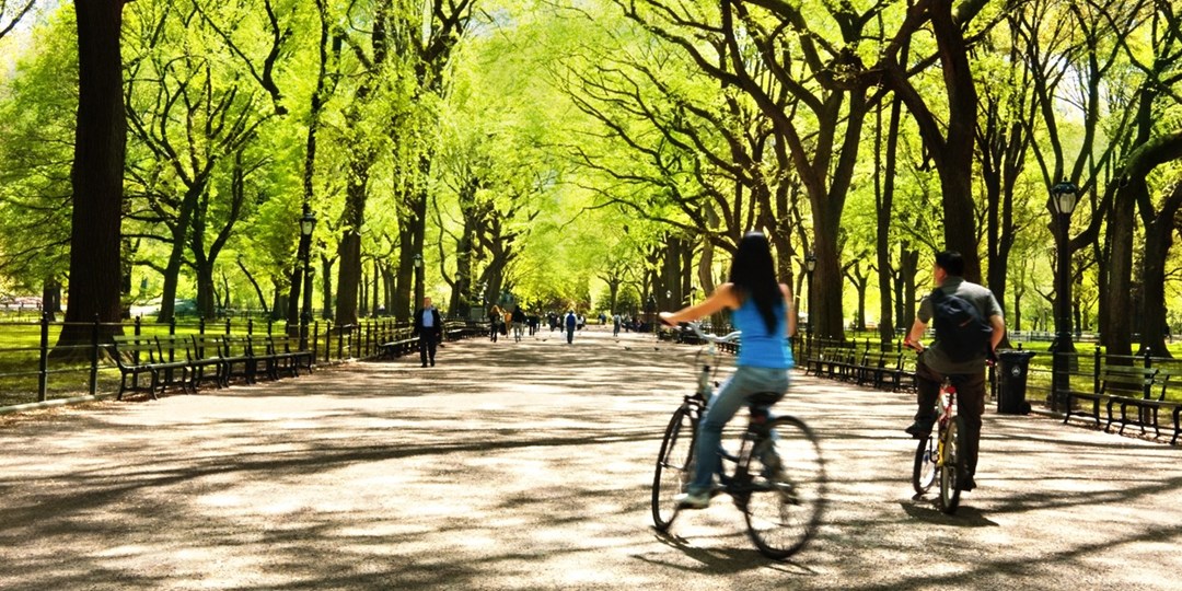 bike riding park