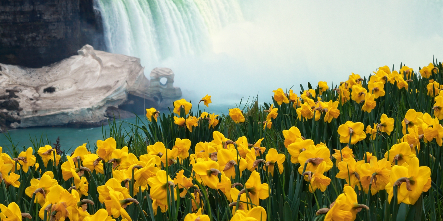 $90 &ndash; Niagara Falls family getaway with exclusive perks -- Niagara Falls, Ontario