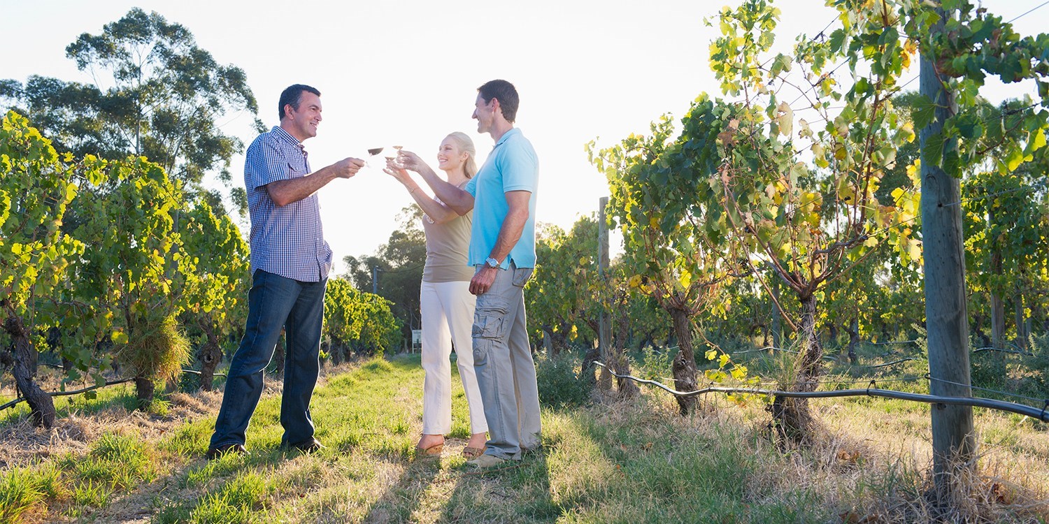 £29 -- Sussex Vineyard Tour, Tastings & Lunch for 2, 63% Off