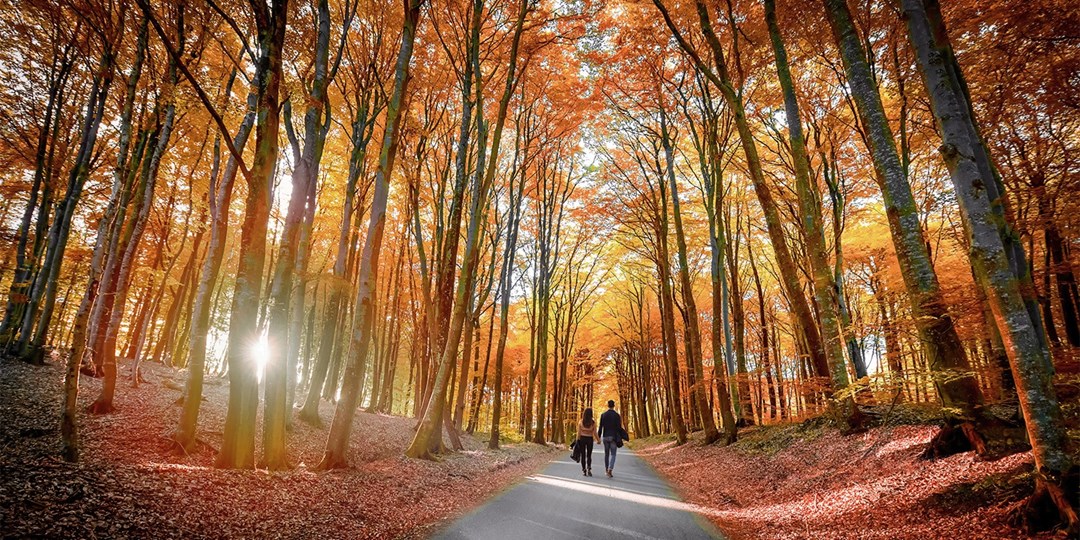 £299—2 nights in the New Forest with Beaulieu tickets Travelzoo