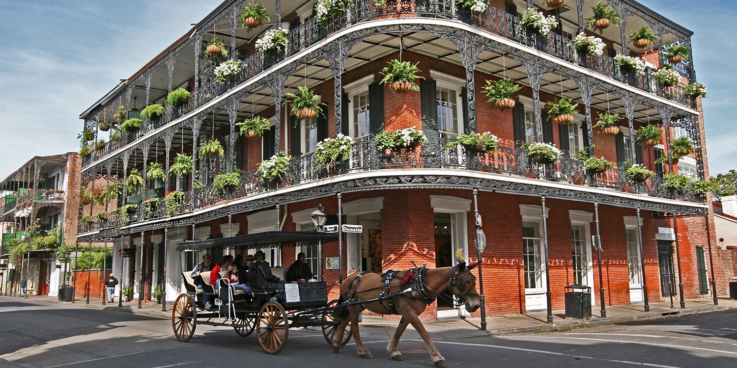 Alder Hotel Uptown New Orleans | Travelzoo